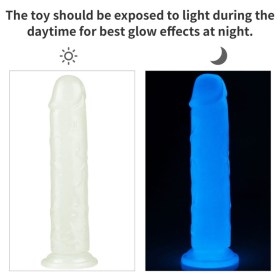 LVTOY00530-1